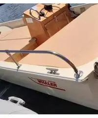 Barca Boston Whaler