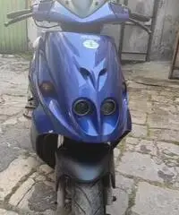 Malaguti Phantom Max 250 - 2006