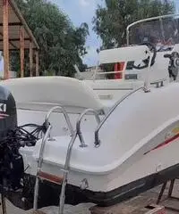 Berlingarda 550 Suzuki 40/60