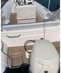 Gommone Pholas 23 con motore Evinrude 250 HP