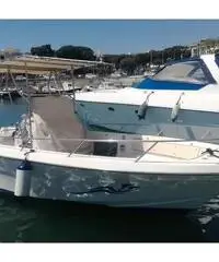 Open grinta petteruti