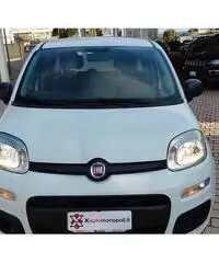 FIAT Panda Easy 1.2 Benz 69 CV