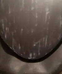 Windsurf PATRIK 100 SL v3