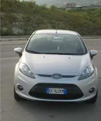 Ford Fiesta Plus grigia usata