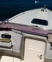 Bruno abbate primatist