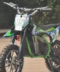 Cross snake elettrico guazzoni 500w 36v r10 cvm