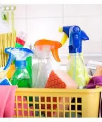 Roma Express Cleaning - Servizi Pulizie a Roma