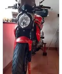 Suzuki SFV Gladius 650 - 2010