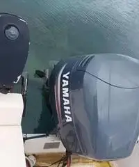 Barca Gobbi mt 7 motore yamaha 150cv