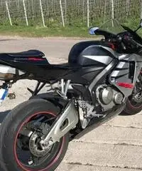 Honda CBR 600 - 2005