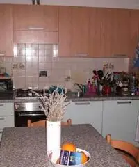 Appartamento in Affitto a 500€ - Firenze