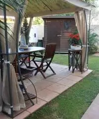 Appartamento in Affitto - CENTRO - Livorno