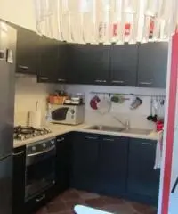 Torino Affitto Appartamento