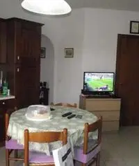 Appartamento in Affitto - CASTELLINA SCALO - Siena