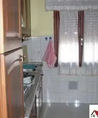 Appartamento in Affitto di 68mq - Pisa