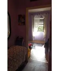 Roma: Appartamento Bilocale