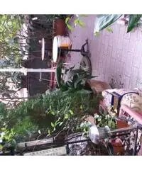 Moderno Loft zona Mecenate - Milano