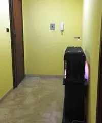 Appartamento in Affitto - V.LE S. MARTINO - Messina