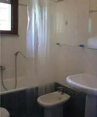 BILOCALE OTTIME CONDIZIONI - Firenze