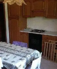 Appartamento in Affitto di 55mq - Marche