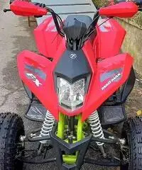 New QUAD FX 250cc Maxi KING R10 Sport TEAM
