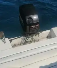 Motoscafo 60 cavalli