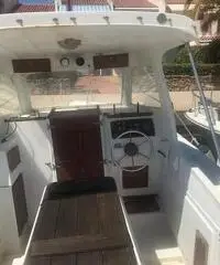 Calafuria 7 motore Aifo 165 HP Turbo rimes