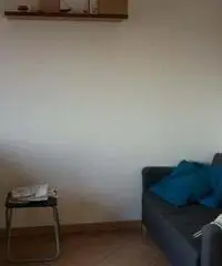 Bilocale arredato libero subito - Milano