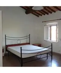 Affitto Appartamento a Collesalvetti - Livorno