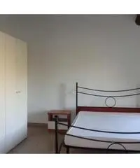 Affitto Appartamento a Collesalvetti - Livorno