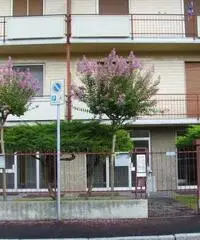 Novara Affitto Appartamento