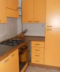 Novara Affitto Appartamento