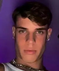 Operaio e Commesso, Corriere, Autista, Vigilanza, altro.