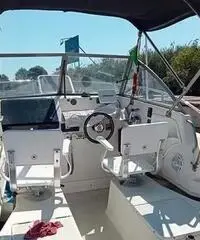Robalo 2140