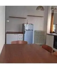 Appartamento di 2 locali in Affitto - Marche